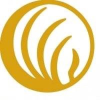 Empire Mental Health Support logo - Similar company to Emily'S Hope