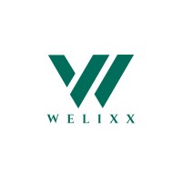 Welixx logo - Similar company to Implicit Solutions