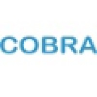 Cobra logo - Similar company to Cobra