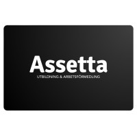 Assetta kompetens logo - Similar company to Wireless Solution Sweden