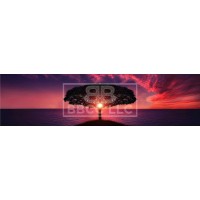 Shamanvibes