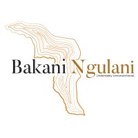 Bakani Ngulani logo - Similar company to Bn Solutions Llc