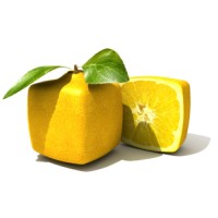 LemonCUBE Software logo - Similar company to Lemoncube