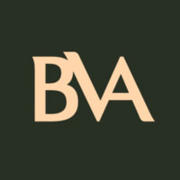 BVA | Braz de Vasconcelos Sociedade Individual de Advocacia logo - Similar company to Polyline Projetos E Serviços