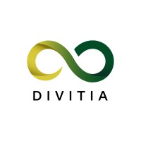 Divitia Investments logo - Similar company to Agility Digital Consultants