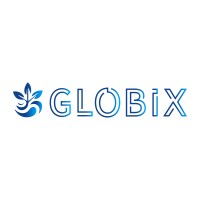 Globix Inc. logo - Similar company to Globix Media