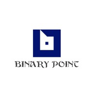 BINARY POINT logo - Similar company to Dsd Recruitment