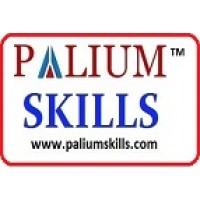 Palium Skills logo - Similar company to Palium Software