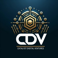 Catalyst Digital Ventures, Llc