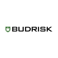 Budrisk logo - Similar company to Lothar Walther Precision Tool