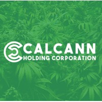 Calcann Holdings logo - Similar company to St Brands