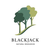 Blackjack Natural Resources logo - Similar company to Stuart Pc