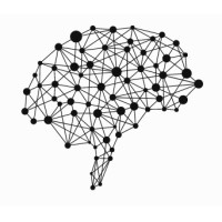 spicyminds logo - Similar company to Noxcod