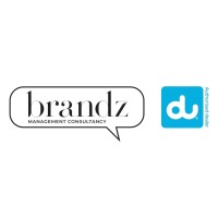 Brandz Management Consultancy logo - Similar company to Digitally Media