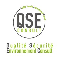 QSE Consult logo - Similar company to Cifads