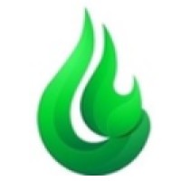 NOBLESSE GREEN ENERGY LTD logo - Similar company to Iotb Tech Fellowship