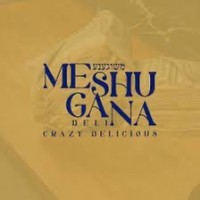 Meshugana Deli logo - Similar company to Meshugá