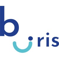 Biris Technologie logo - Similar company to Ecotech Design Studio