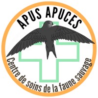 Centre de soins Faune sauvage du Loiret Apus Apuces logo - Similar company to Fapal : Fédération Des Associations Des Parcs D’Activités Du Loiret
