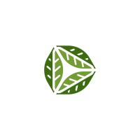 Pointed Green Media logo - Similar company to Pointed.