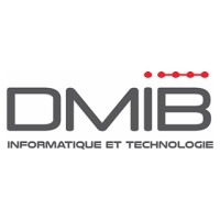 DMIB Inc. logo - Similar company to Dolls Media