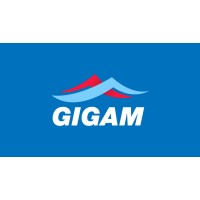 Gigam Group Mexico (Worldwide solutions) logo - Similar company to Gigam Net S.R.L