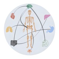 Inter-Organ PET logo - Similar company to Haplogen Bioscience