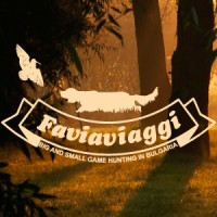 Favia Ltd. logo - Similar company to Tallamond Inc