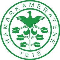 Hamkam Fotball Elite logo - Similar company to Rico System Danmark