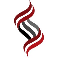 Synergy Placements logo - Similar company to Tvape