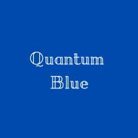 Quantum Blue Digital logo - Similar company to Quantum Blue Inc.