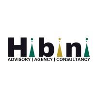 Hibini logo - Similar company to Smart Nexus Solutions