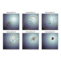 Evolution & Strategy