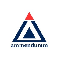 Ammendumm logo - Similar company to Tech World Logics