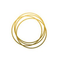 Oreon Partners logo - Similar company to Wright Evans Partners