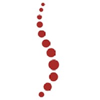 The Spine Hospital of Louisiana logo - Similar company to Manda Fine Meats