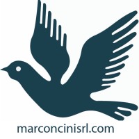 MARCONCINI SRL logo - Similar company to Mp Labs