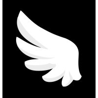 Wingspan Technology logo - Similar company to Bricktribe