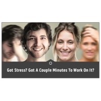 Professor Pete’s Stress Management Tools logo - Similar company to Stress-Bim3D