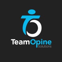 TeamOpine Solutions logo - Similar company to Mydba