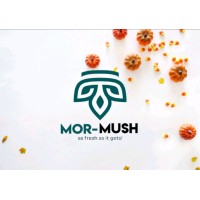 MOROCCAN MUSHROOMS logo - Similar company to Champima