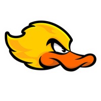 Duck Rockets logo - Similar company to Undead Fox