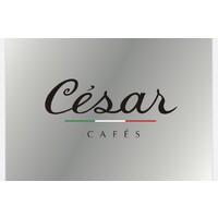 Cesar Industry logo - Similar company to Cofill Group