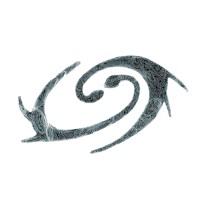 Chrryt logo - Similar company to Alderwin