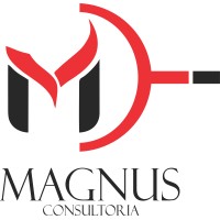 Magnus Consultoria Desenvolvimento logo - Similar company to Conectplan Tecnologia