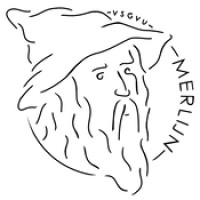VSGVU Merlijn logo - Similar company to Aics Alumni