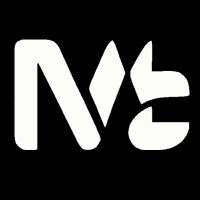 NeuroWeb Solutions logo - Similar company to Blazop