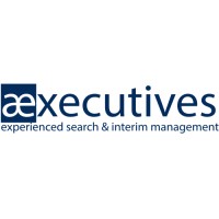 Aexecutives BV logo - Similar company to Hr Appointments
