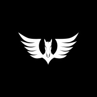 Pegasus Aerospace logo - Similar company to Bfo Solutions Oü