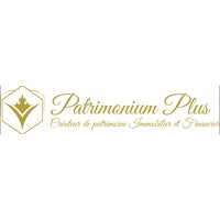 PATRIMONIUM PLUS logo - Similar company to Bastide Beaudinard